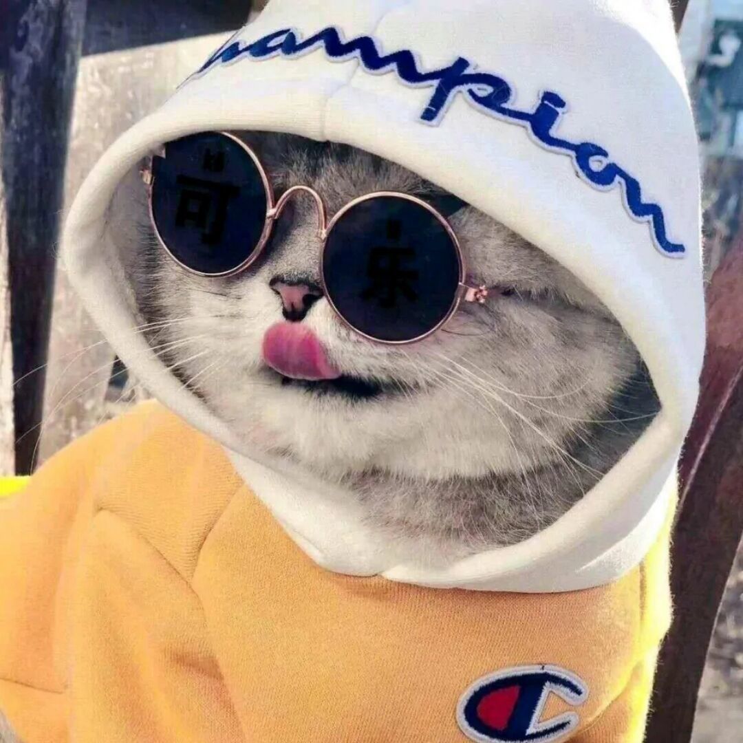 Blogger Avatar